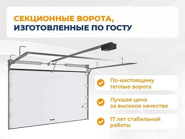 Секционные ворота 2500х2050 мм коричнево-красные DoorHan rsd02, shchelkovo.doorhan.ru